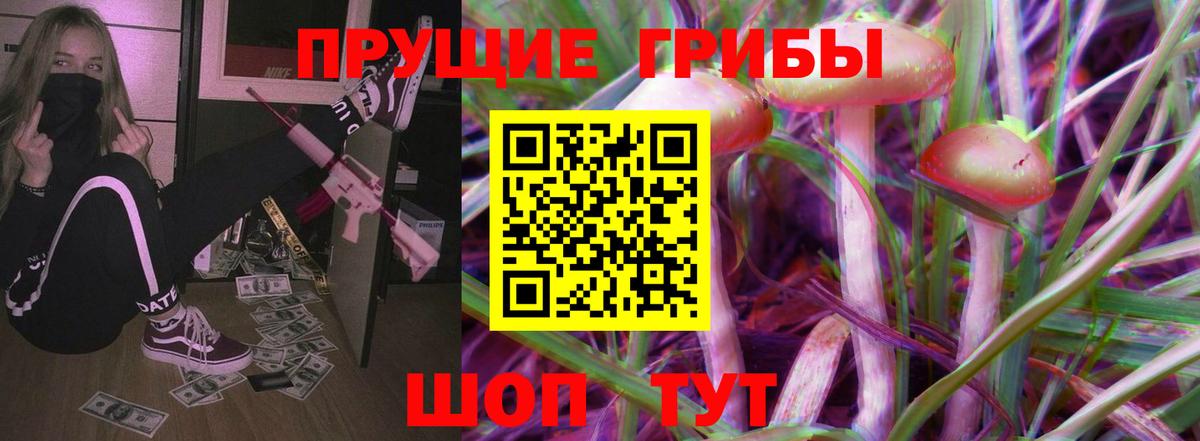Псилоцибиновые грибы мицелий Жуковский